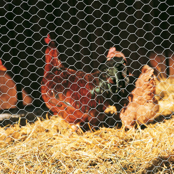 sechseckgeflecht-rollenware-hexanet-verzinkt